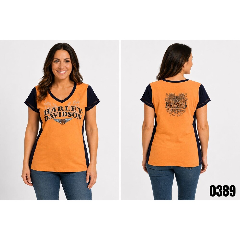 Vintage Harley-Davidson Women's Cherokee NC Colorblock V-Neck Tee – Sz L - 0389
